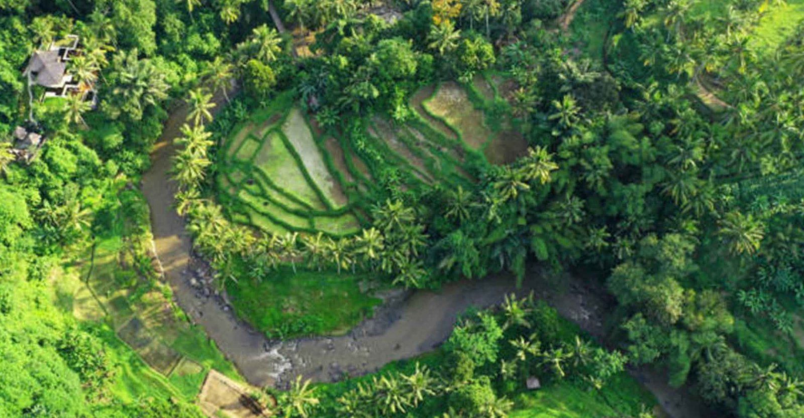 Thrilling-White-Water-Rafting-Adventure-in-Ubud-by-Bali-Excotic-Adventure